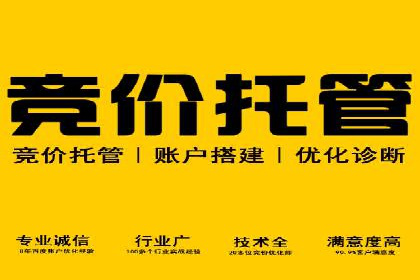百度平台推广：成功案例解析与效果分析